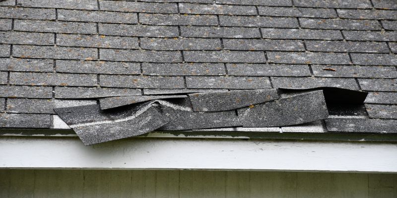 What Are the Signs of a Damaged Roof?